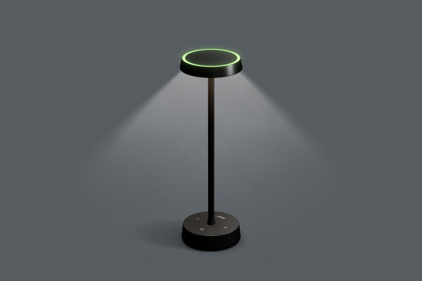 Loxone Table Lamp Air Anthrazit